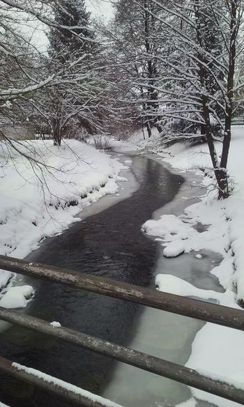Ina Malus razstavlja fotografije mengeških utrinkov Ina Malus razstavlja fotografije mengeških utrinkov