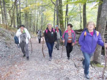  DRUŠTVO UPOKOJENCEV ŠMARTNO VABI NA PRVI MAJSKI REKREACIJSKI POHOD