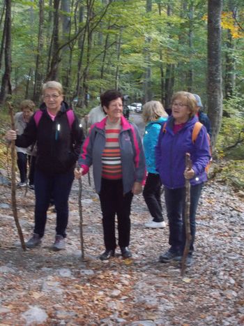  DRUŠTVO UPOKOJENCEV ŠMARTNO VABI POHODNIKE NA POHOD