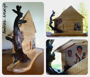 DARILA (ob začetku) JESENI