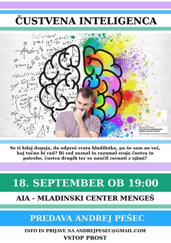 Čustvena inteligenca