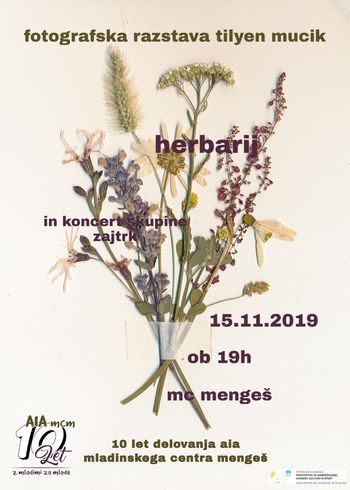 Fotografska razstava tilyen mucik in koncert skupine zajtrk