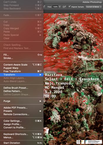 Select > Edit > Transform - Fotografska razstava Nejca Trampuža