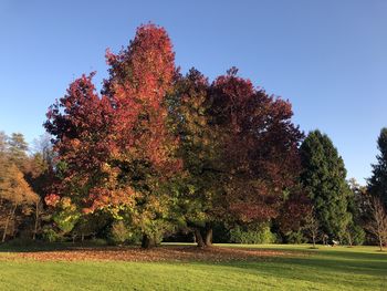 Kako se soočati s stresom v času corone?