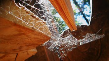 Kako nevtralizirati strah - največji strup za našo dušo in telo