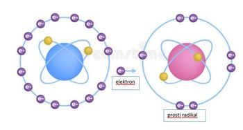 Razstrupljanje in antioksidanti  