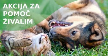 Dobrodelna akcija za pomoč živalim