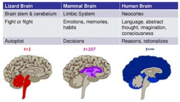 Kako misliti Čustva in Občutenja