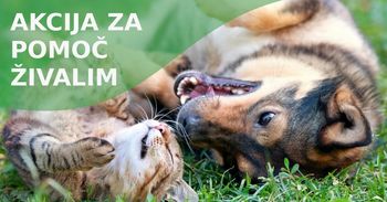 Dobrodelna akcija za pomoč živalim