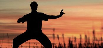 QIGONG MODROSTI