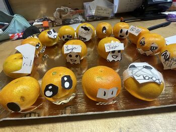 Drugi jesenski tabor za otroke v rejništvu Drugi jesenski tabor za otroke v rejništvu