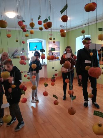 Strokovna ekskurzija na Kozjansko