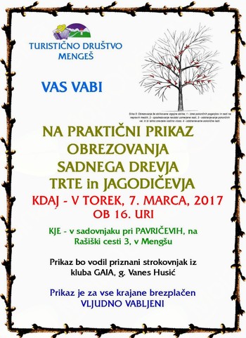 Praktični prikaz obrezovanja sadnega drevja