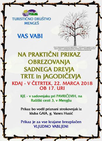 Prikaz obrezovanja sadnega drevja