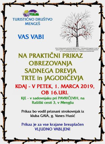 Prikaz obrezovanja sadnega drevja, jagodičevja in grozdja