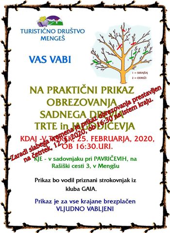 Prikaz obrezovanja sadnega drevja