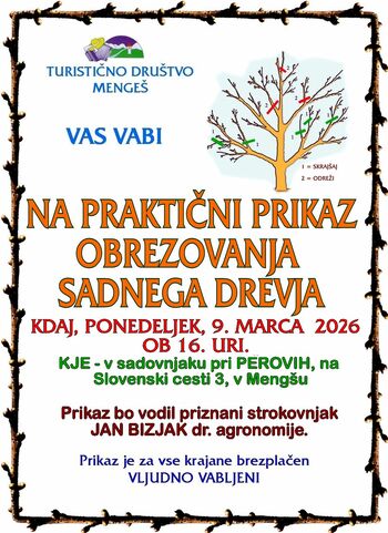 Prikaz obrezovanja sadnega drevja