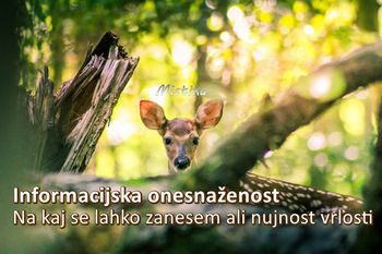 Informacijska onesnaženost