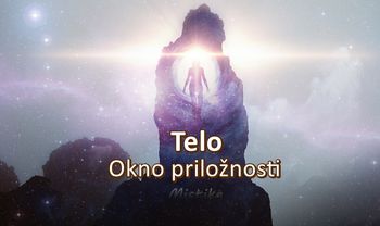 Telo - Okno priložnosti Telo - Okno priložnosti