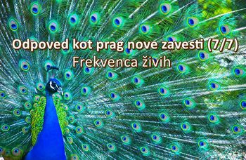 Odpoved kot prag nove zavesti (7/7) – Frekvenca živih