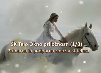 ŠK Telo Okno priložnosti (1/3) – Primarna in podporna zmožnost telesa