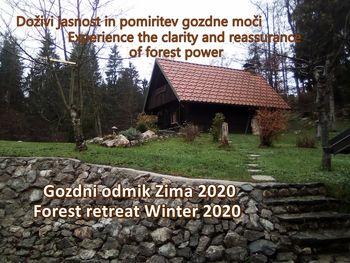 Gozdni odmik Zima 2020
