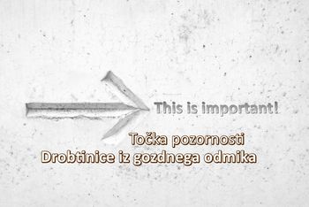 Drobtinice iz gozdnega odmika - Točka pozornosti Drobtinice iz gozdnega odmika - Točka pozornosti