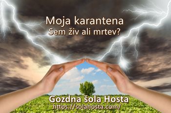Moja karantena? Sem živ?