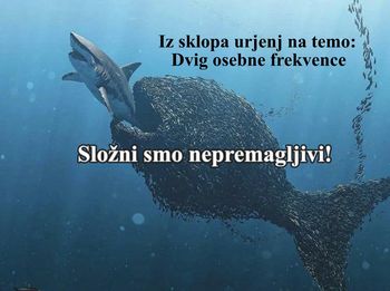 Delavnica Dvig osebne vibracije 2 Složni smo nepremagljivi (16.4.2022 ob 9h)