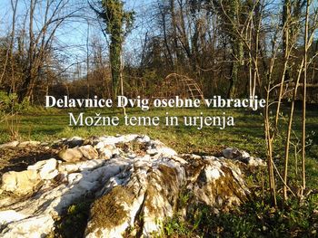 Delavnice Dvig osebne vibracije: Teme in urjenja