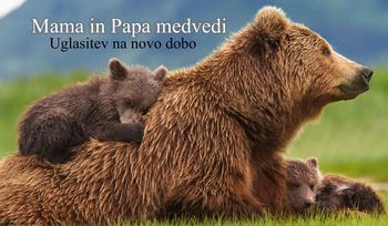 Mama in papa medvedi