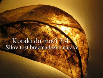 Koraki do moči 3/4 - Silovitost brezmadežne narave