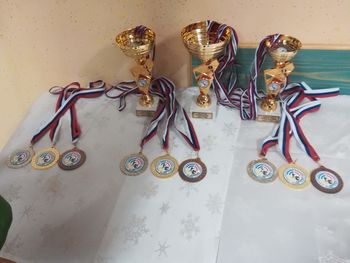 Praznik KS Vojnik v Doliču