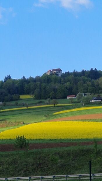 TEK NA GRAD HMELJNIK 2026