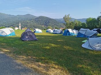 ODPORNE ŽELVE NA SVOJEM PROSTORU GOSTILE UČENCE IN UČITELJE MEDNARODNE ŠOLE V LJUBLJANI