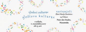 Joštova kultura 