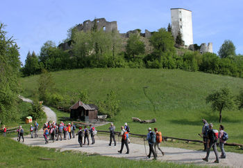 Sončki in Konjiška gora