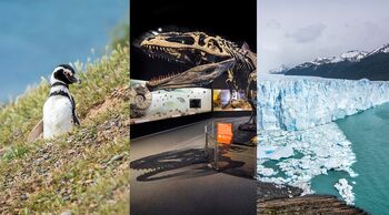 Potopisno predavanje: Med pingvini, dinozavri in ledeniki: naravoslovni sprehod po Patagoniji (52. MINFOS 2026)