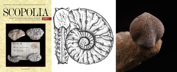 Pišem, rišem in fotografiram paleontološko (52. MINFOS 2026)