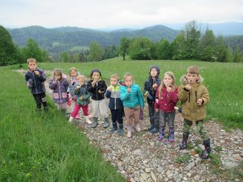 "ČEBELE" IZ VRTCA DESKLE NA MEDVEDJEM BRDU