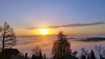 NAMESTO ADVENTNEGA VENČKA