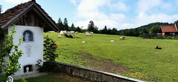 SKUPAJ ZA LEPO IN ČISTO DOBENO