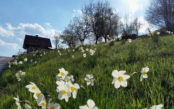Dobeno, kaj je tebe treba bilo … Dobeno, kaj je tebe treba bilo …