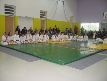 Izpitno polaganje pasov Aikida za otroke BiniAkademije