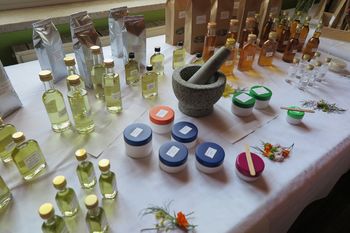 Nova priložnost za zeliščarje z območja Srca Slovenije Nova priložnost za zeliščarje z območja Srca Slovenije