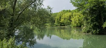 Monitoring stanja reke Vipave v Občini Miren-Kostanjevica