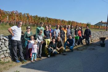Uspešna obnova suhozidane škarpe v Lipi na Krasu