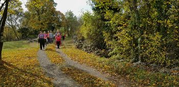 Jesenski pohod na Trstelj 