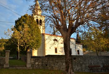 Obnovljena cerkev sv. Mihaela v Lipi na Krasu Obnovljena cerkev sv. Mihaela v Lipi na Krasu