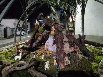 Moj pogled na decembrsko okrasitev Mirna